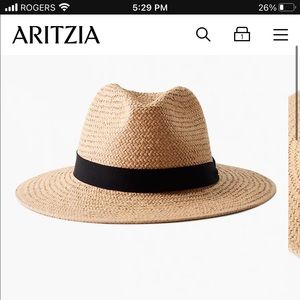 Aritzia auxiliary straw fedora